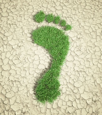 living green - grass footprint